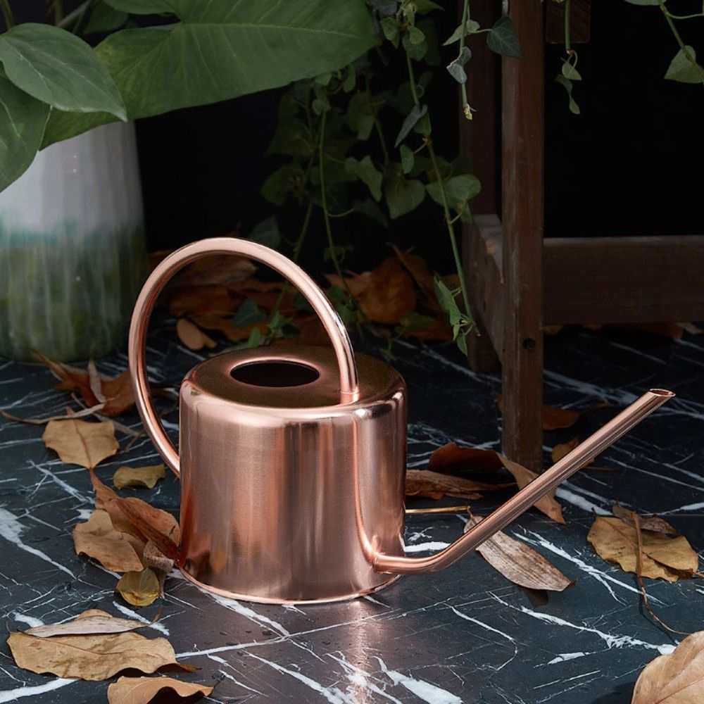 u 1.3L Plant Sprinkler Kettle  - Watering Can Long Spout review and price