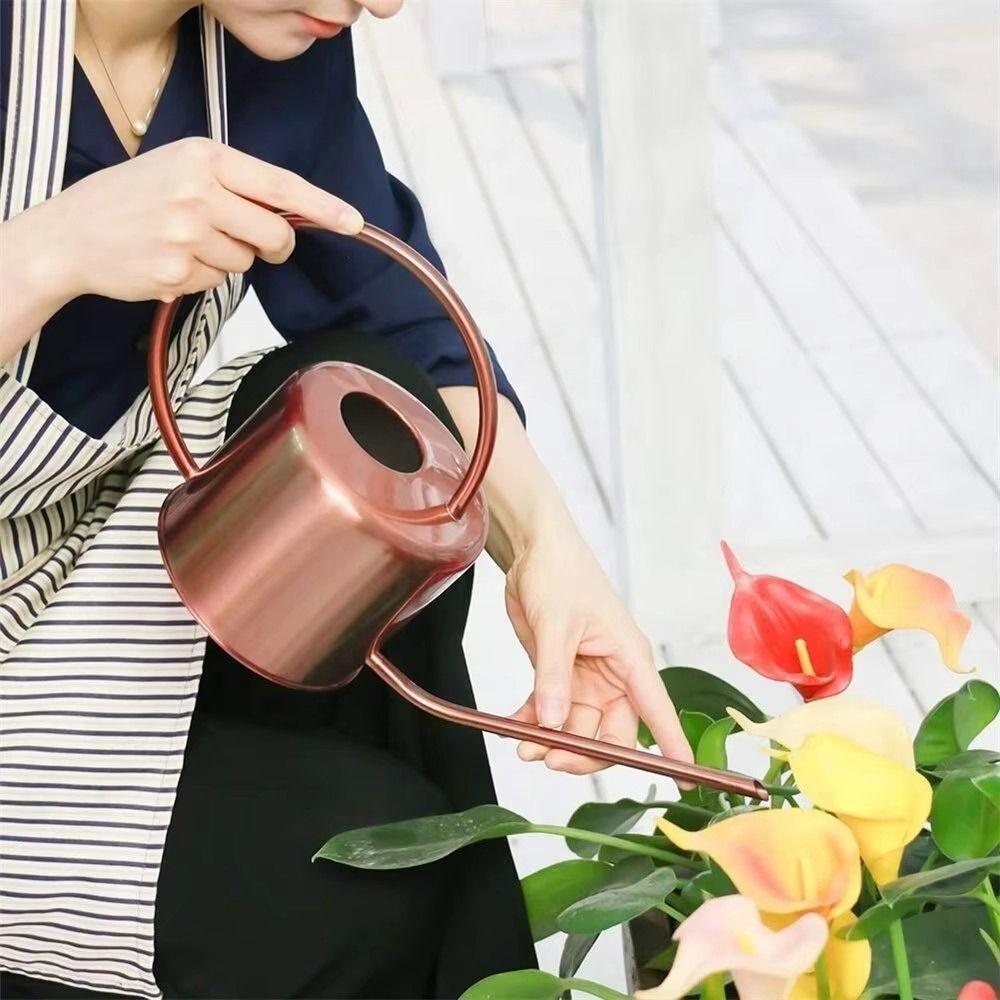 u 1.3L Plant Sprinkler Kettle  - Watering Can Long Spout review and price