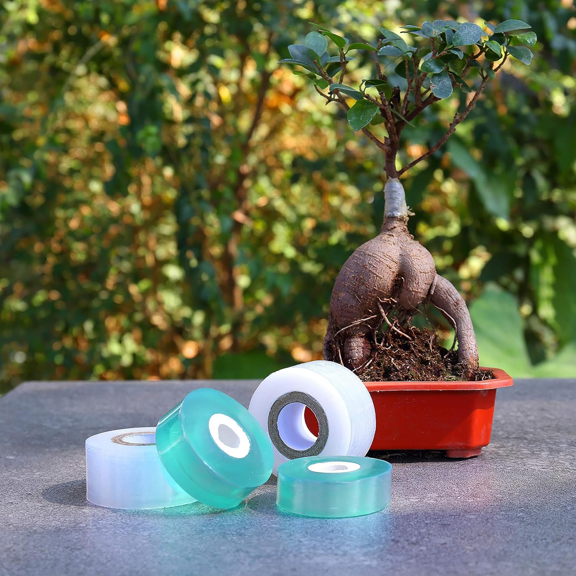 Easy Use Biodegradable Self Ad - Gardening Tools Uses review and price