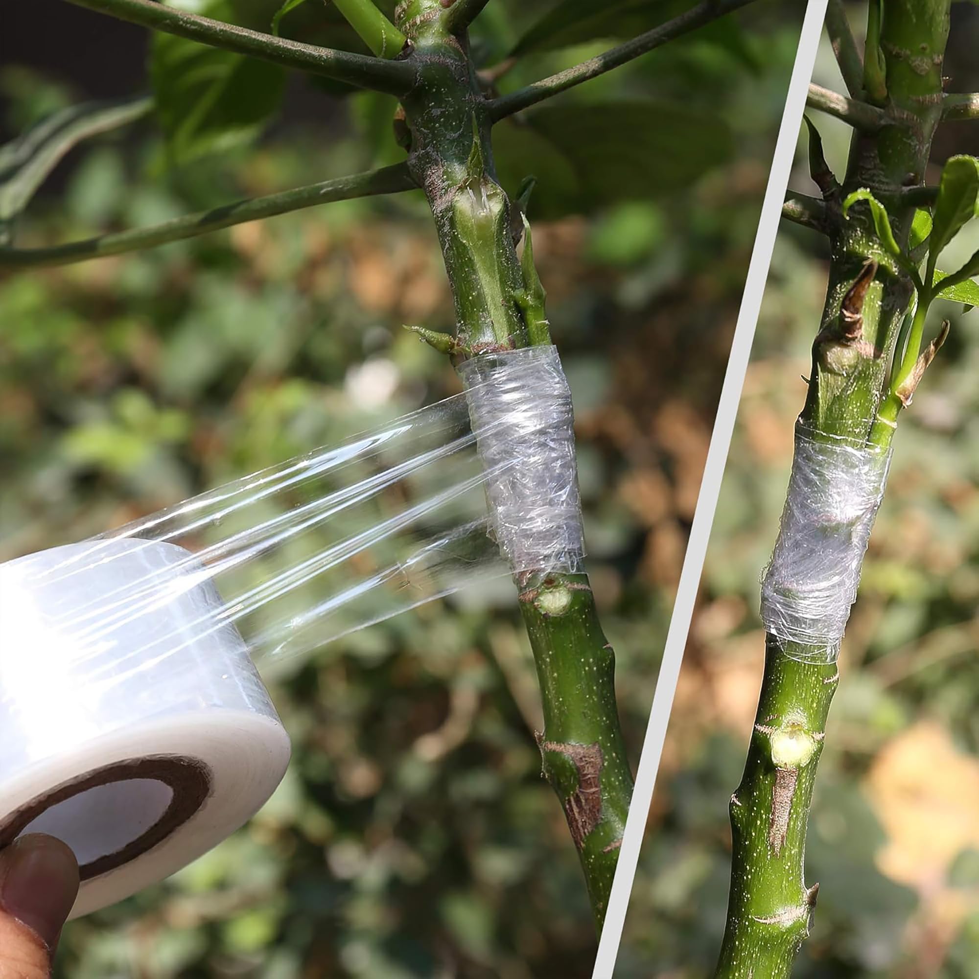 Easy Use Biodegradable Self Ad - Gardening Tools Uses review and price