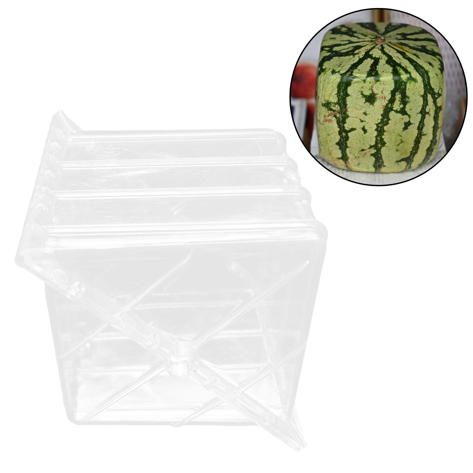 Square Watermelon Growth Mould - Gardening Tools Unique review and price