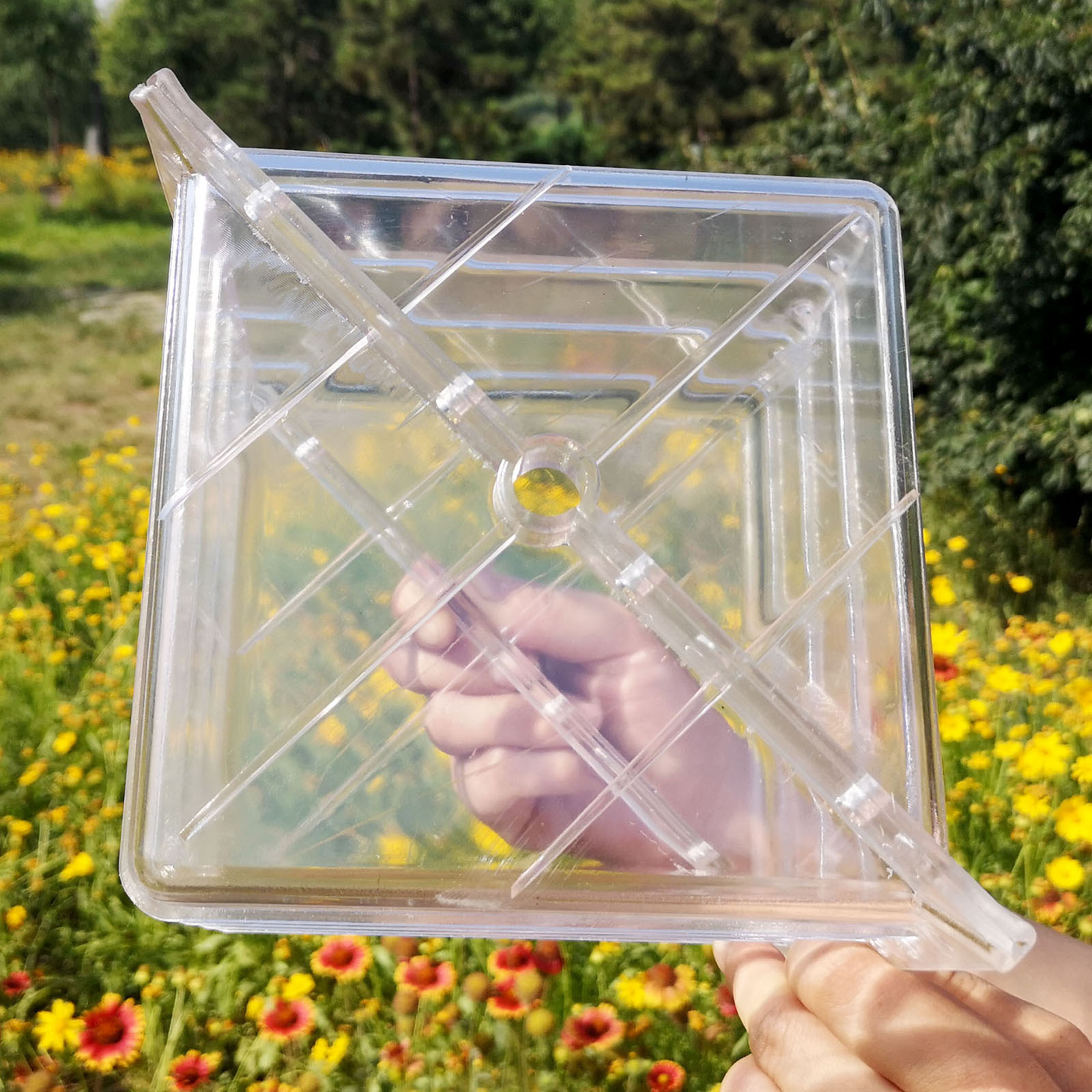 Square Watermelon Growth Mould - Gardening Tools Unique review and price