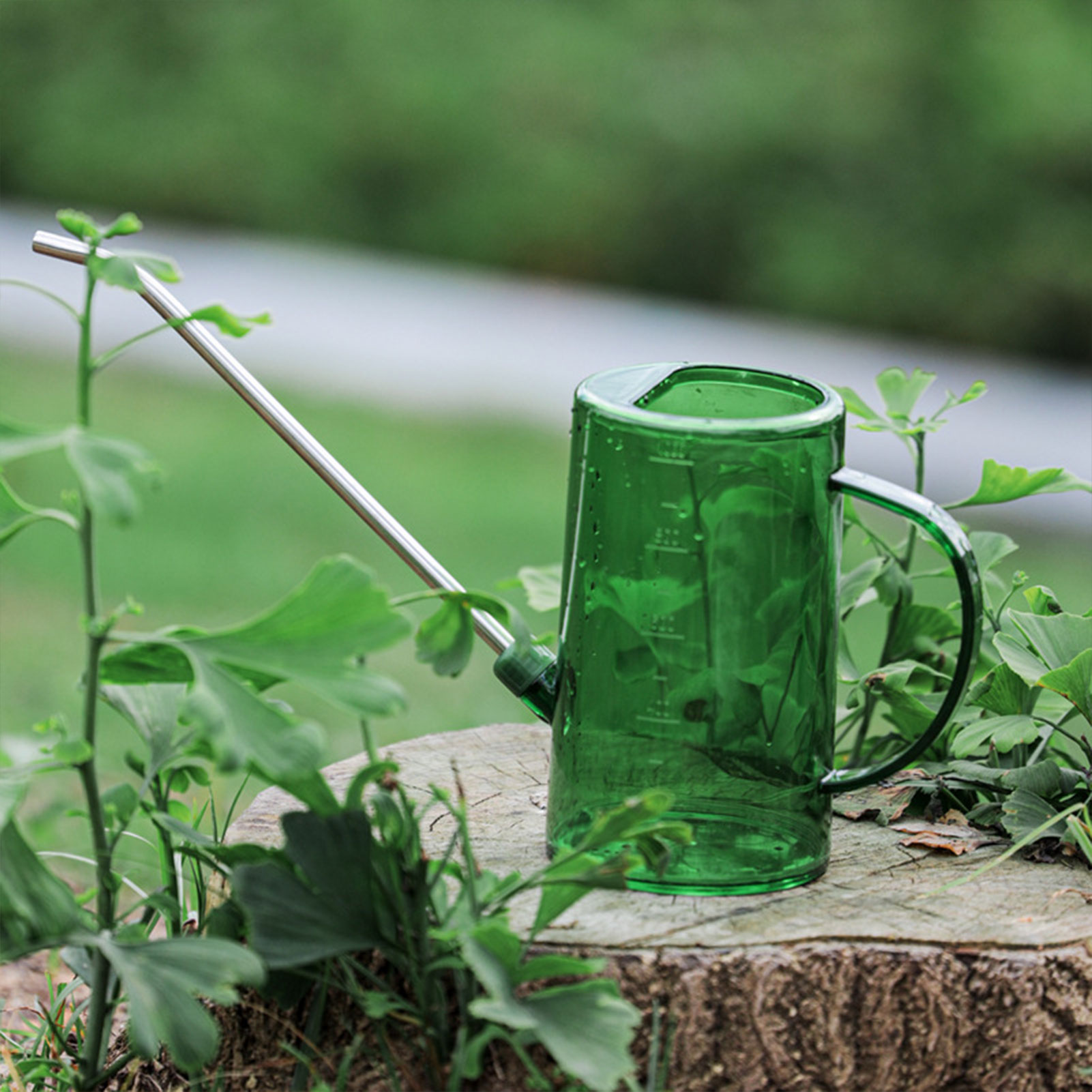 1L/1.5L Indoor Plants Watering - Watering Can Long Spout review and price