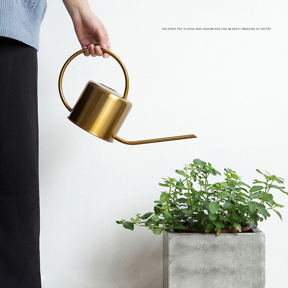 u High Quality 1.3L Plant Spri - Watering Can Long Spout review and price