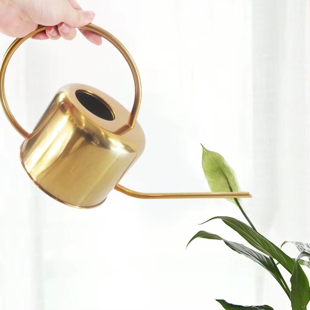 u High Quality 1.3L Plant Spri - Watering Can Long Spout review and price