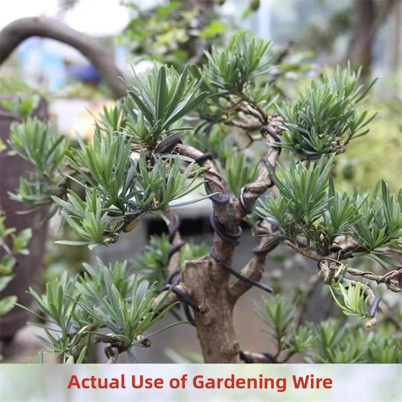 1.5MM Bonsai Wires Aluminum Bo - Gardening Tools Uses review and price