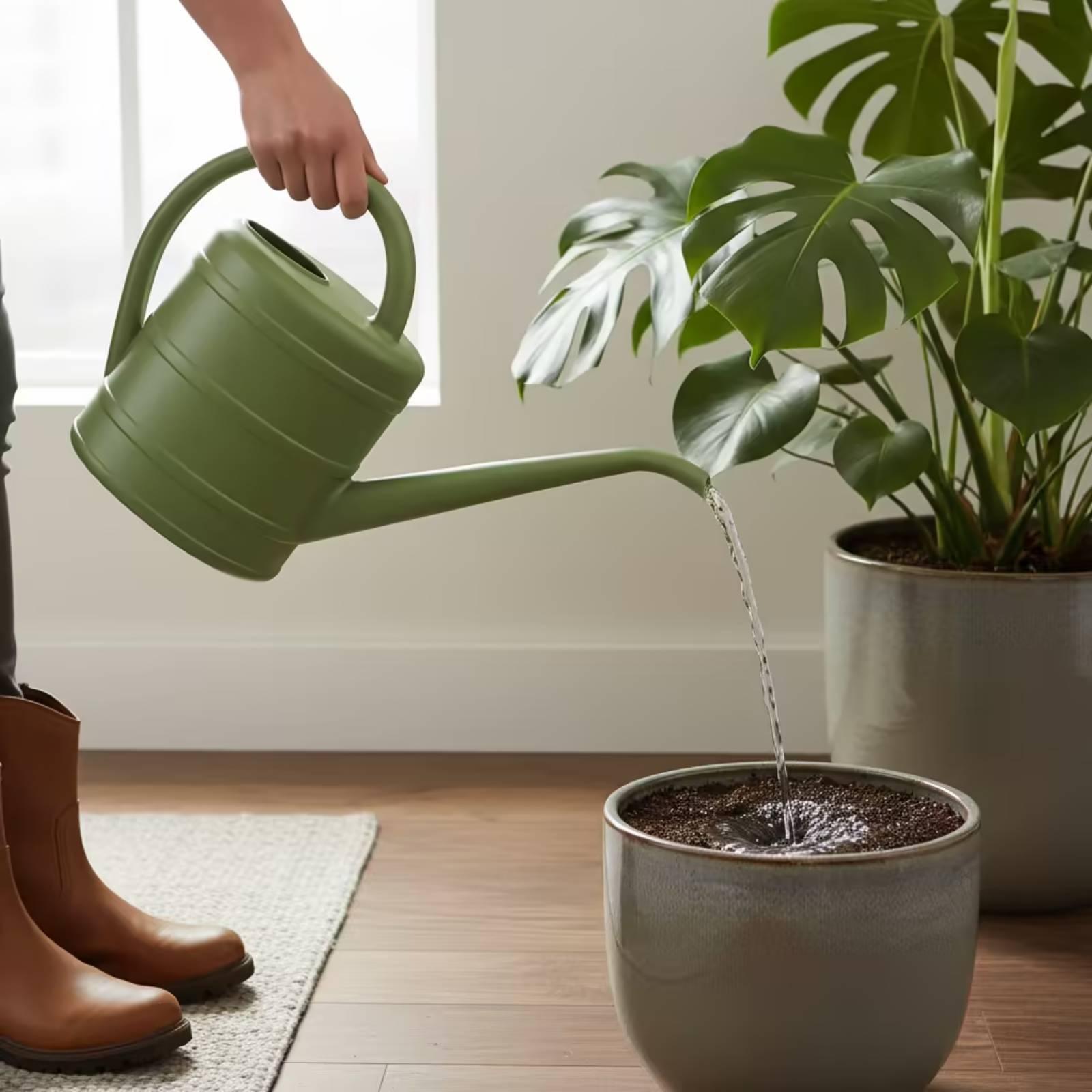 Watering Can with Long Spout E - Watering Can Long Spout review and price