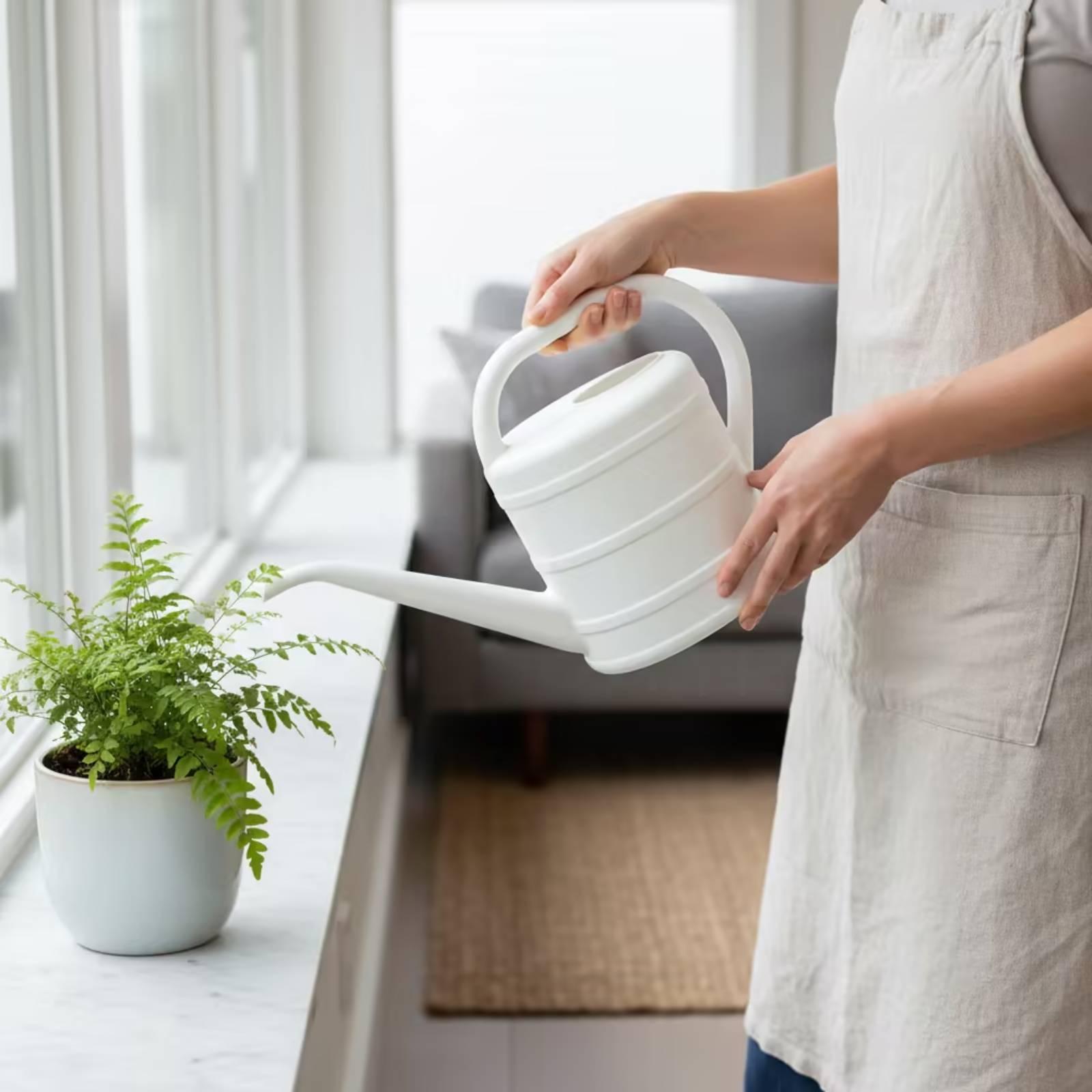 Watering Can with Long Spout E - Watering Can Long Spout review and price