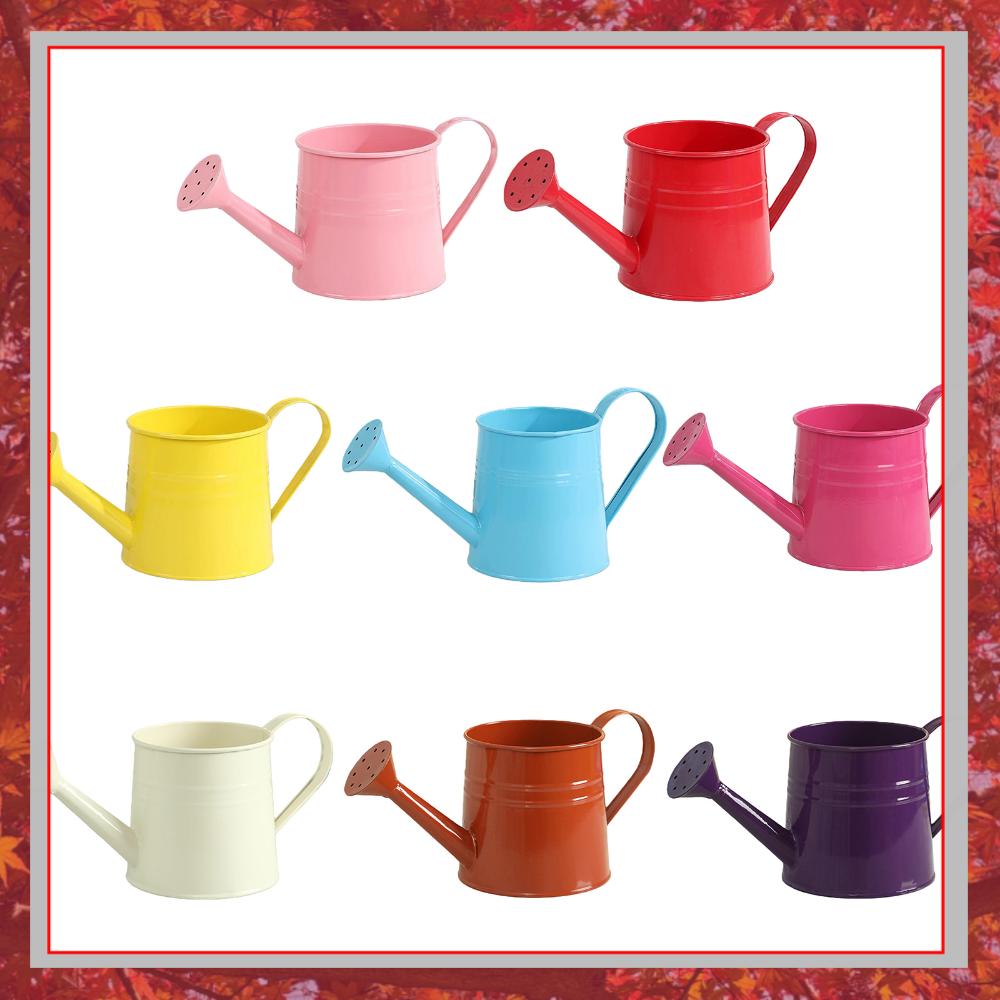 Flower Long Spout Water Can fo - Watering Can Long Spout review and price