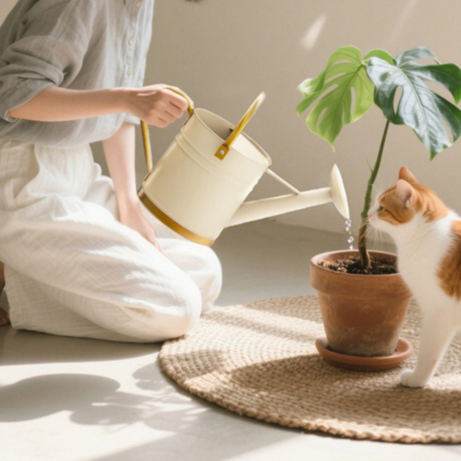 Long Spout Watering Can Leak-P - Watering Can Long Spout review and price