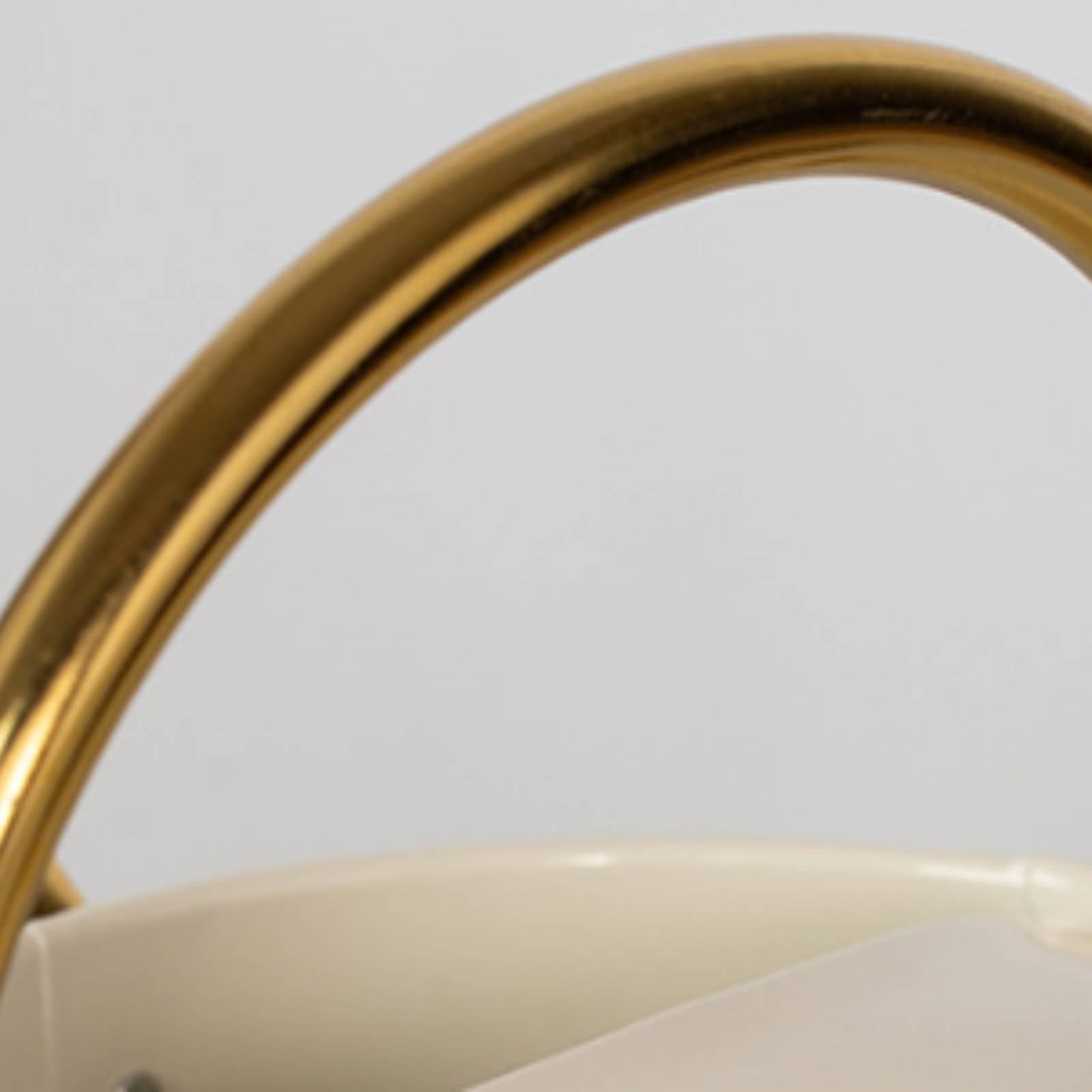Long Spout Watering Can Leak-P - Watering Can Long Spout review and price
