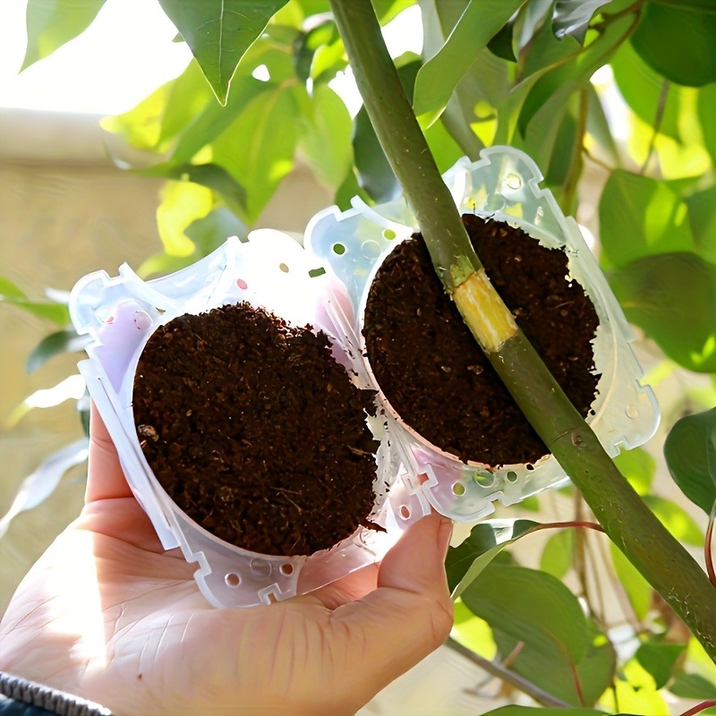 10Pcs High Pressure Plant Root - Gardening Tools Uses review and price