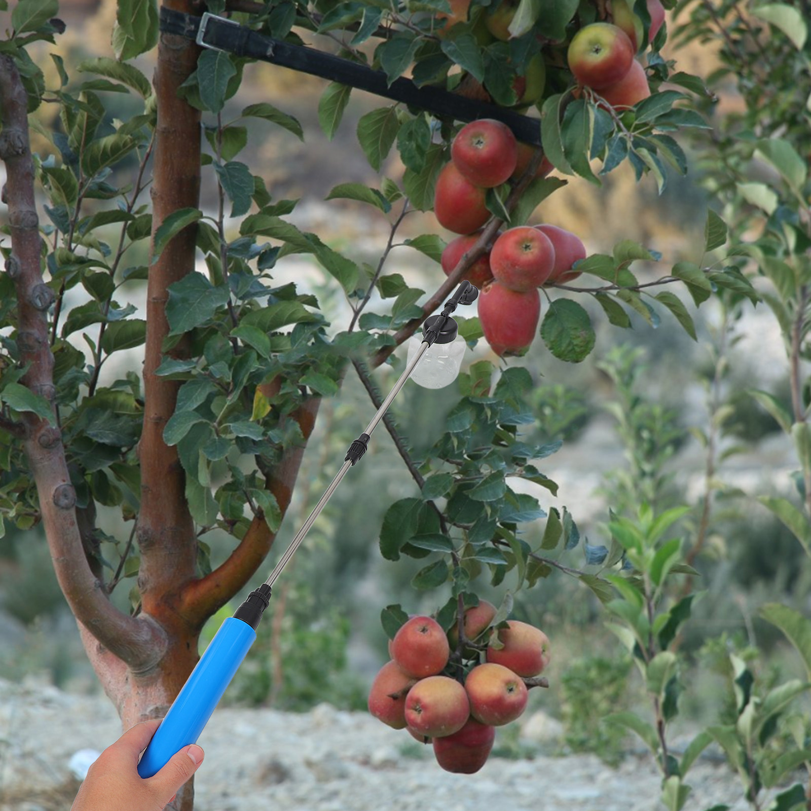 Hand Pollination Sprayer For F - Gardening Tools Uses review and price