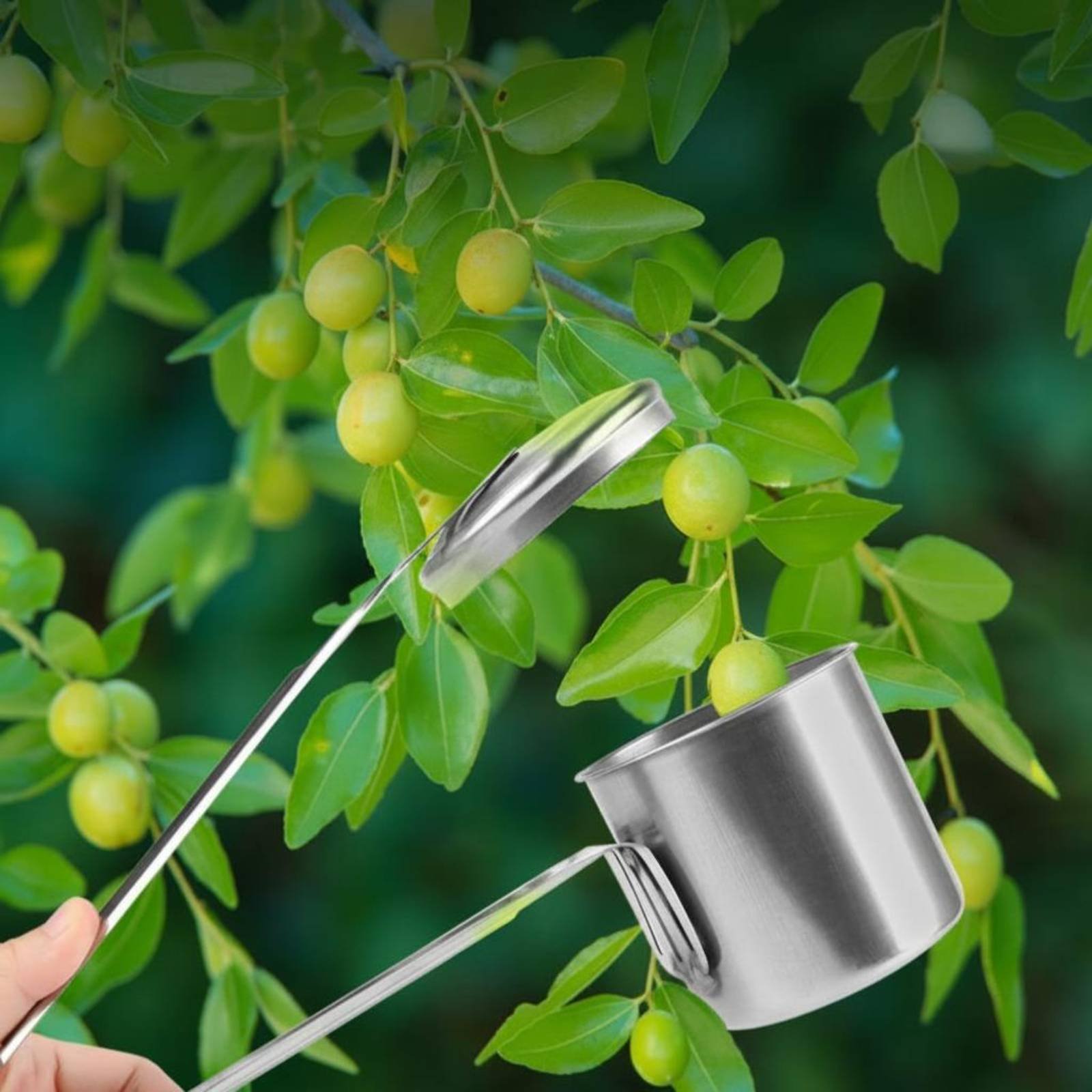 Cup Fruit Picker Stainless Ste - Gardening Tools Uses review and price
