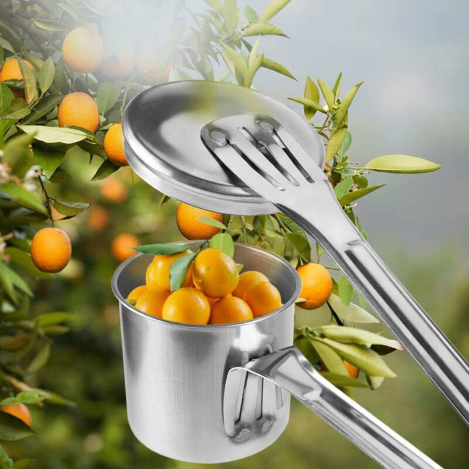 Cup Fruit Picker Stainless Ste - Gardening Tools Uses review and price